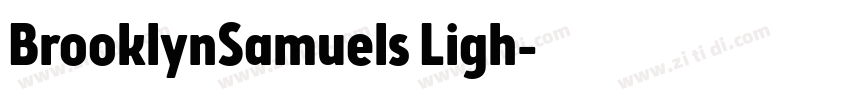 BrooklynSamuels Ligh字体转换 BrooklynSamuels Ligh字体转换